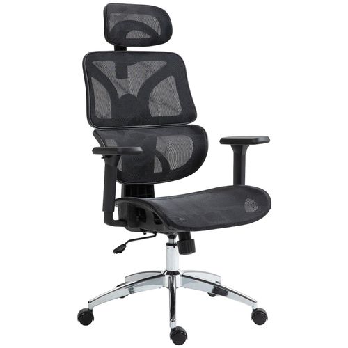 4255716303051 - Bürostuhl Deshler I ergonomischer Schreibtischstuhl I höhenverstellbarer Drehstuhl I mit Armlehnen und Kopfstütze