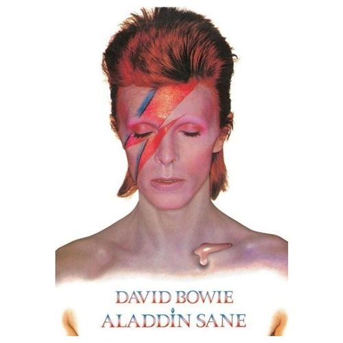 5050574315210 - - Poster david bowie aladdin sanierung