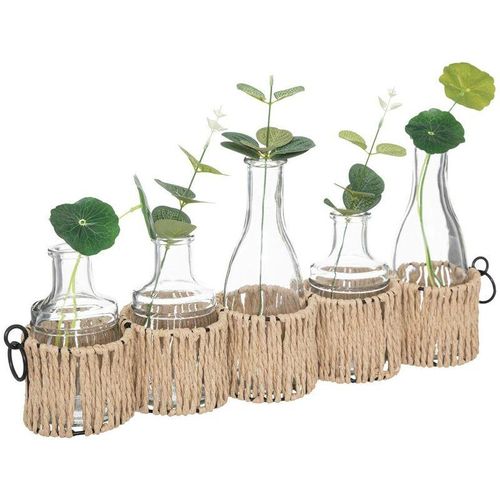 3560232600609 - Atmosphera Créateur Dintérieur - Set aus 5 Soliflores - Glas - H29 -5 cm