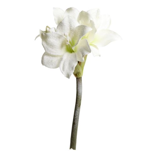 5712750373369 - Chic Antique Fleur künstliche Amaryllis mit Schnee und Glitzer 64 cm creme