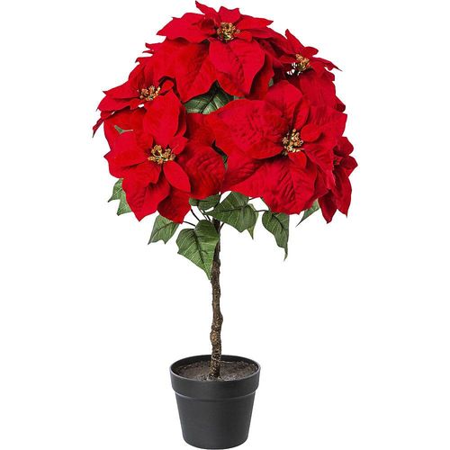 4064118082286 - Poinsettien-Stamm Kunststofftopf Höhe 750 mm