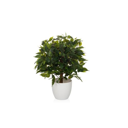 4064323038481 - Kunstpflanze FICUS II Kunststoff hjh OFFICE 4064323038481 - Kunstpflanze FICUS II Kunststoff hjh OFFICE