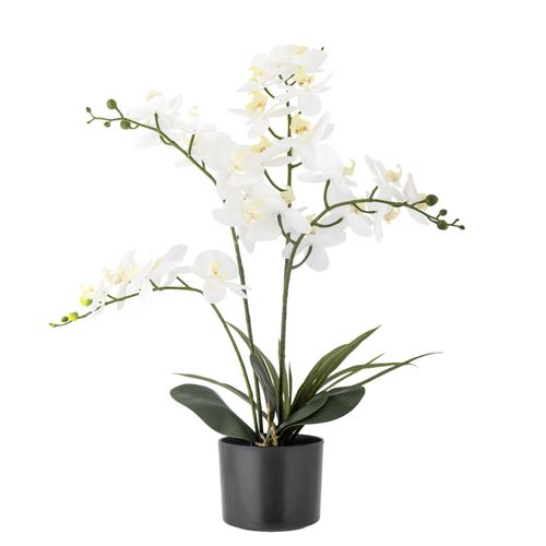 5711173332380 - Künstliche Orchidee Kunstblume Ø 16xH84 cm 5711173332380 - Künstliche Orchidee Kunstblume Ø 16xH84 cm