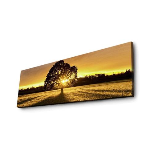 8681181427002 - Wandbild »Wallxpert Tree« Baum 8681181427002 - Wandbild »Wallxpert Tree« Baum