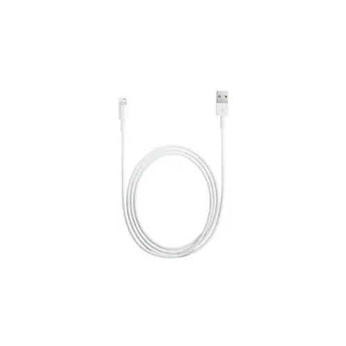 0885909627424 - iPad iPhone iPod Anschlusskabel [1x USB 20 Stecker A - 1x Lightning-Stecker] 100 m Weiß