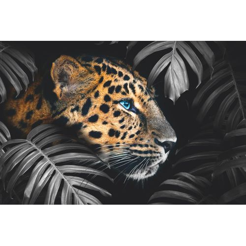 8714597587531 - Wandbild REINDERS Wandbild Leopard Jungle - Pflanze Tiermotiv Bilder Gr B H 90 cm x 60 cm Leopard 1 St bunt (mehrfarbig) Kunstdrucke 8714597587531 - Wandbild REINDERS Wandbild Leopard Jungle - Pflanze Tiermotiv Bilder Gr B H 90 cm x 60 cm Leopard 1 St bunt (mehrfarbig) Kunstdrucke