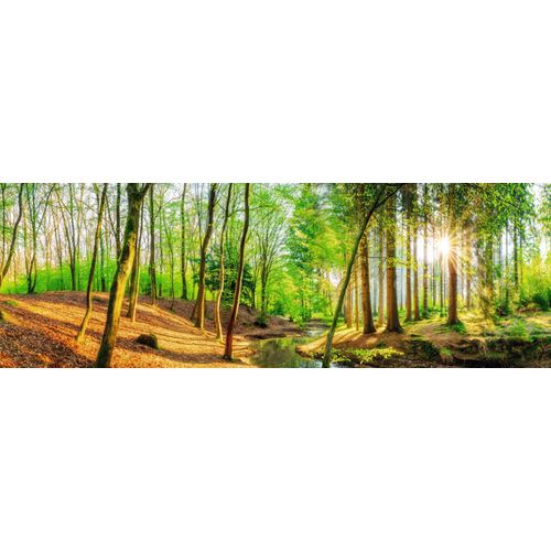8714597615449 - Wandbild REINDERS Sonniger Wald Bilder Gr B H T 156 cm x 52 cm x 2 cm grün Kunstdrucke 8714597615449 - Wandbild REINDERS Sonniger Wald Bilder Gr B H T 156 cm x 52 cm x 2 cm grün Kunstdrucke
