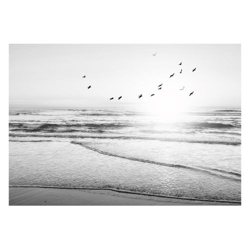 8714597615272 - Kunstdruck REINDERS Sonnenuntergang Bilder Gr B H T 70 cm x 50 cm x 16 cm schwarz (schwarz weiß) Kunstdrucke 8714597615272 - Kunstdruck REINDERS Sonnenuntergang Bilder Gr B H T 70 cm x 50 cm x 16 cm schwarz (schwarz weiß) Kunstdrucke