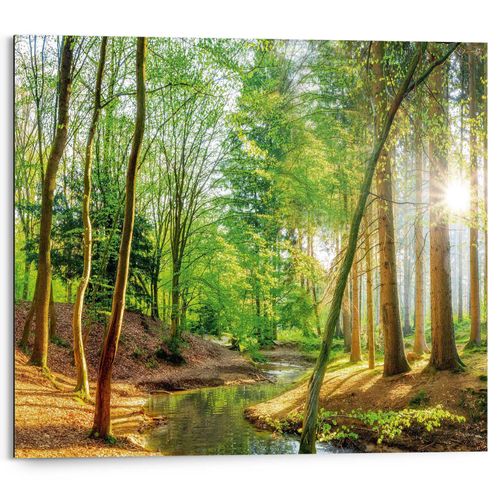8714597625882 - Deco-Panel REINDERS Sonniger Wald Bilder Gr B H T 50 cm x 40 cm x 2 cm grün Kunstdrucke 8714597625882 - Deco-Panel REINDERS Sonniger Wald Bilder Gr B H T 50 cm x 40 cm x 2 cm grün Kunstdrucke
