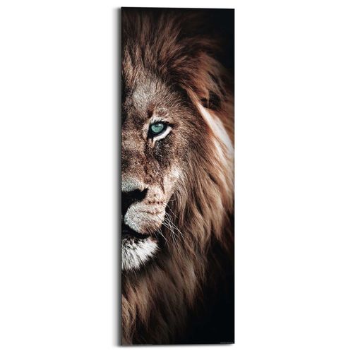 8714597626544 - Deco-Panel REINDERS Löwe Bilder Gr B H T 30 cm x 90 cm x 2 cm braun Kunstdrucke 8714597626544 - Deco-Panel REINDERS Löwe Bilder Gr B H T 30 cm x 90 cm x 2 cm braun Kunstdrucke
