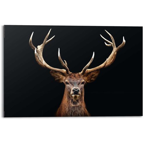 8714597626667 - Bild DEER PORTRAIT (LBH 60x2x90 cm) LBH 60x2x90 cm bunt Kunstdruck Gemälde Wandbild 8714597626667 - Bild DEER PORTRAIT (LBH 60x2x90 cm) LBH 60x2x90 cm bunt Kunstdruck Gemälde Wandbild