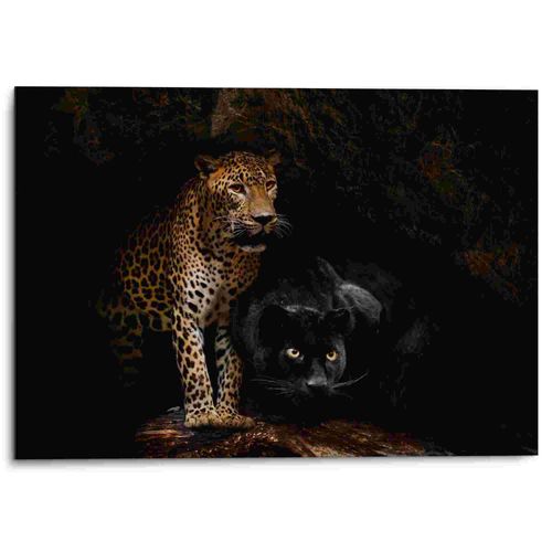 8714597612349 - Wandbild REINDERS Aluminium Wandbild Raubtiere Panther - Cougar - Katzen - Höhle schwarz (farbe bild(er) schwarz) B70cm H50cm Aluminium Bilder 8714597612349 - Wandbild REINDERS Aluminium Wandbild Raubtiere Panther - Cougar - Katzen - Höhle schwarz (farbe bild(er) schwarz) B70cm H50cm Aluminium Bilder