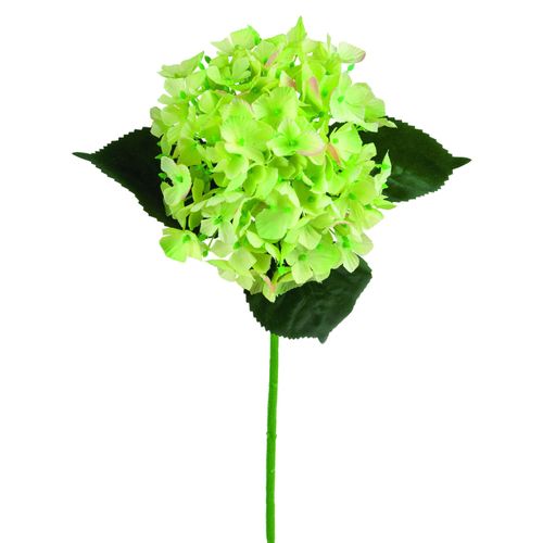 4043816985358 - Kunstblume HORTENSIE (LBH 12x12x56 cm) LBH 12x12x56 cm bunt Pflanze Kunstpflanze Zimmerpflanze 4043816985358 - Kunstblume HORTENSIE (LBH 12x12x56 cm) LBH 12x12x56 cm bunt Pflanze Kunstpflanze Zimmerpflanze