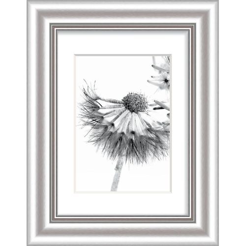 4250423812704 - Mm_unverified_brand - Kunststoff Bilderrahmen Elegance alu-metallic-silber 18 x 24 cm Kunststoffrahmen 4250423812704 - Mm_unverified_brand - Kunststoff Bilderrahmen Elegance alu-metallic-silber 18 x 24 cm Kunststoffrahmen