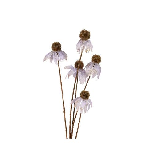8720194797488 - Kunstblume ECHINACEA lila (BHT 9x92x3 cm) BHT 9x92x3 cm lila Pflanze Kunstpflanze Zimmerpflanze 8720194797488 - Kunstblume ECHINACEA lila (BHT 9x92x3 cm) BHT 9x92x3 cm lila Pflanze Kunstpflanze Zimmerpflanze