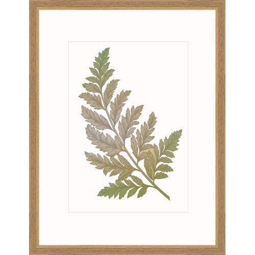4251050560990 - Bilderrahmen MODERN (BH 43x33 cm) BH 43x33 cm braun Fotorahmen 4251050560990 - Bilderrahmen MODERN (BH 43x33 cm) BH 43x33 cm braun Fotorahmen
