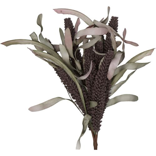 8719533270942 - Kunstblume FLOWERS PANICLE (H 50 cm) H 50 cm braun Pflanze Kunstpflanze Zimmerpflanze 8719533270942 - Kunstblume FLOWERS PANICLE (H 50 cm) H 50 cm braun Pflanze Kunstpflanze Zimmerpflanze