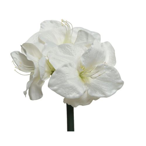 8720194584095 - Kunstblume AMARYLLIS weiss (DH 24x60 cm) DH 24x60 cm weiß Pflanze Kunstpflanze Zimmerpflanze 8720194584095 - Kunstblume AMARYLLIS weiss (DH 24x60 cm) DH 24x60 cm weiß Pflanze Kunstpflanze Zimmerpflanze