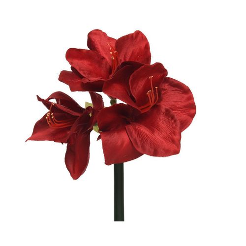 8720194584194 - Kunstblume AMARYLLIS ROT (DH 24x60 cm) DH 24x60 cm rot Pflanze Kunstpflanze Zimmerpflanze 8720194584194 - Kunstblume AMARYLLIS ROT (DH 24x60 cm) DH 24x60 cm rot Pflanze Kunstpflanze Zimmerpflanze