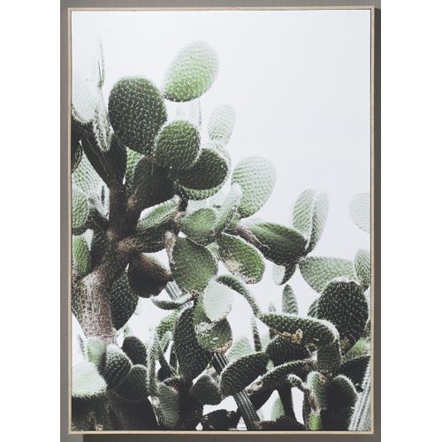 4041103756858 - Bild KAKTEEN (BHT 102x142x4 cm) casa NOVA 4041103756858 - Bild KAKTEEN (BHT 102x142x4 cm) casa NOVA