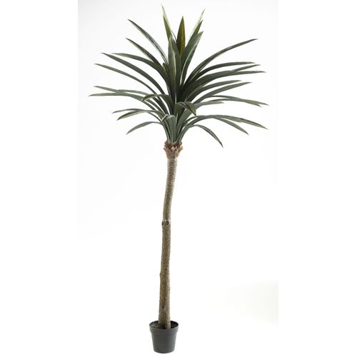 4041104080532 - casa NOVA Kunstpflanze PALME (BHT 106x228x106 cm) BHT 106x228x106 cm grün Pflanze Kunstblume Zimmerpflanze