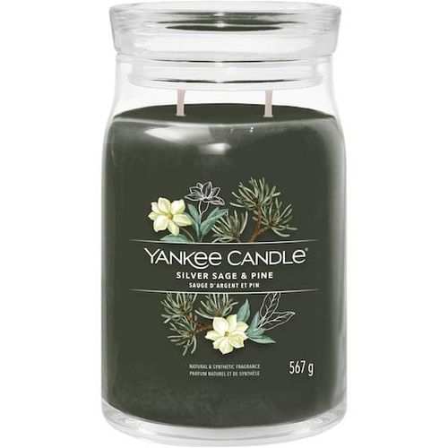5038581129037 - Raumdüfte Votivkerze im Glas Silver Sage + Pine 567 g (4617 € 1 kg) 5038581129037 - Raumdüfte Votivkerze im Glas Silver Sage + Pine 567 g (4617 € 1 kg)