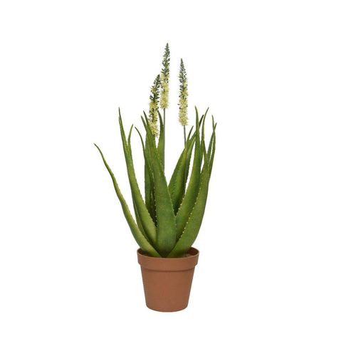 8720093905229 - Kunstpflanze AGAVE (DH 100x100 cm) 8720093905229 - Kunstpflanze AGAVE (DH 100x100 cm)