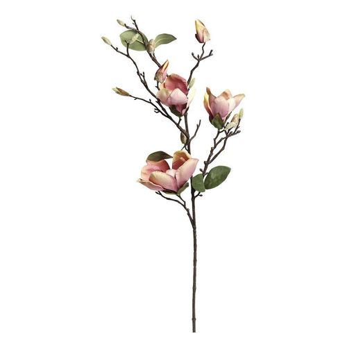 5712750359264 - Chic Antique Fleur Multi Magnolia Höhe 87 cm