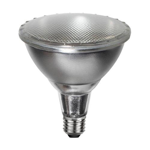 7391482036896 - LED-Lampe E27 PAR38 Spotlight Outdoor Silber Neutralweiß Außenbereich IP65 - Star Trading