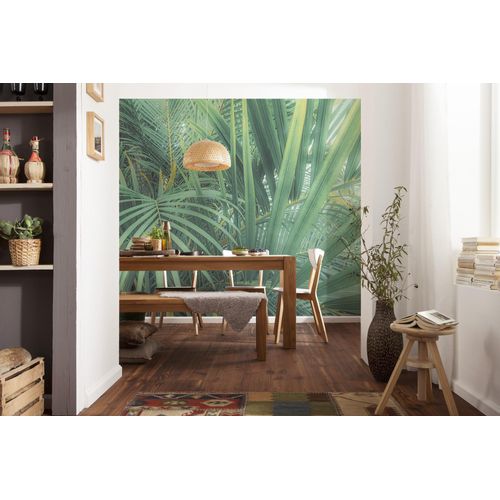 4055065200755 - Fototapete KOMAR Digitaldruck Vlies - Foggy Fern - Größe 400 x 250 cm grün Rollen Vlies Tapeten Wohnzimmer Schlafzimmer 4055065200755 - Fototapete KOMAR Digitaldruck Vlies - Foggy Fern - Größe 400 x 250 cm grün Rollen Vlies Tapeten Wohnzimmer Schlafzimmer