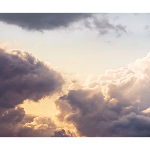 4055065050718 - Fototapete »Vlies Fototapete - Cloud Cast - Größe 300 x 250 cm« glatt botanisch floral geblümt gemustert tropisch (Packung 1 St Lieferung auf Rolle in stabiler Kartonhülse) Vom Design bis zum Druck Made in Germany bunt 4055065050718 - Fototapete »Vlies Fototapete - Cloud Cast - Größe 300 x 250 cm« glatt botanisch floral geblümt gemustert tropisch (Packung 1 St Lieferung auf Rolle in stabiler Kartonhülse) Vom Design bis zum Druck Made in Germany bunt