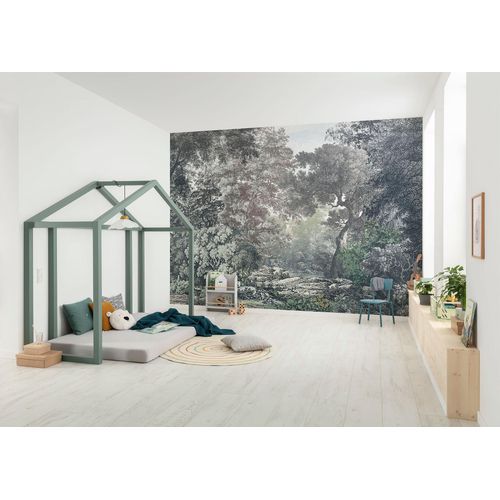 4055065390630 - Fototapete KOMAR Digitaldruck Vlies - Wood Wide Web - Größe 400 x 280 cm bunt Rollen Vlies Tapeten Wohnzimmer Schlafzimmer 4055065390630 - Fototapete KOMAR Digitaldruck Vlies - Wood Wide Web - Größe 400 x 280 cm bunt Rollen Vlies Tapeten Wohnzimmer Schlafzimmer