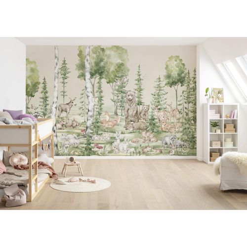 4055065390616 - Fototapete KOMAR Digitaldruck Vlies - Cuddly Buddies - Größe 400 x 250 cm bunt Rollen Vlies Tapeten Wohnzimmer Schlafzimmer 4055065390616 - Fototapete KOMAR Digitaldruck Vlies - Cuddly Buddies - Größe 400 x 250 cm bunt Rollen Vlies Tapeten Wohnzimmer Schlafzimmer