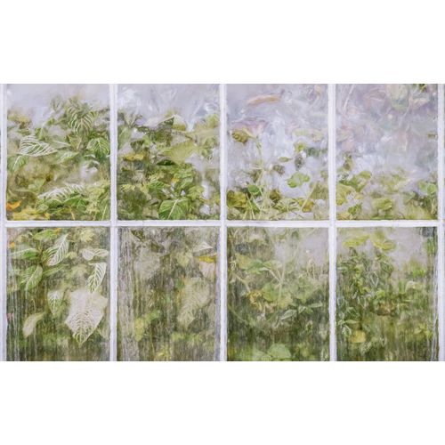 4055065050886 - Fototapete »Vlies Fototapete - Secret Stash - Größe 400 x 250 cm« glatt botanisch floral geblümt gemustert tropisch (Packung 1 St Lieferung auf Rolle in stabiler Kartonhülse) Vom Design bis zum Druck Made in Germany bunt 4055065050886 - Fototapete »Vlies Fototapete - Secret Stash - Größe 400 x 250 cm« glatt botanisch floral geblümt gemustert tropisch (Packung 1 St Lieferung auf Rolle in stabiler Kartonhülse) Vom Design bis zum Druck Made in Germany bunt