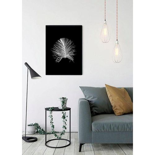 4055065155093 - KOMAR Poster Feather Black Bilder Kinderzimmer Schlafzimmer Wohnzimmer Gr B H 50 cm x 70 cm Federn 1 St bunt Poster 4055065155093 - KOMAR Poster Feather Black Bilder Kinderzimmer Schlafzimmer Wohnzimmer Gr B H 50 cm x 70 cm Federn 1 St bunt Poster
