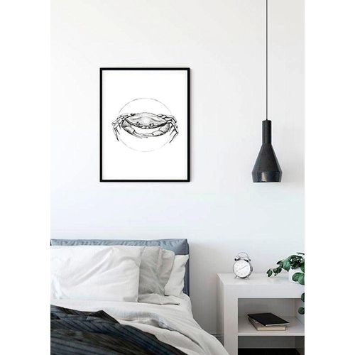 4055065152375 - KOMAR Poster Crab White Bilder Kinderzimmer Schlafzimmer Wohnzimmer Gr B H 50 cm x 70 cm Tiere 1 St bunt Poster 4055065152375 - KOMAR Poster Crab White Bilder Kinderzimmer Schlafzimmer Wohnzimmer Gr B H 50 cm x 70 cm Tiere 1 St bunt Poster