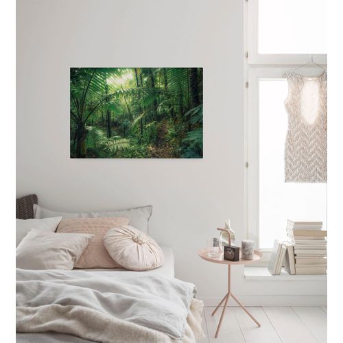 4055065031984 - Leinwandbild KOMAR Jungleflair Bilder Gr B H T 90 cm x 60 cm x 2 cm Landschaftsaufnahme Baum-Blätter-Natur-Berge-Blumen-Foto-Jahreszeiten-Landschaft-Meer-Strand-Palmen Querformat 1 St bunt (grün gelb) Leinwandbilder 90x60 cm (Breite x Höhe) Keilrahmenbild