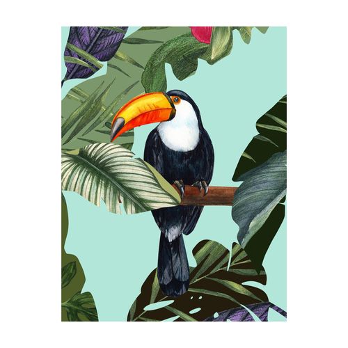 4055065200243 - Bild »Toco Toucan« Natur (1 St) Wandbild zur Dekoration - ohne Rahmen