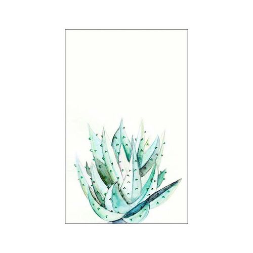 4055065151866 - KOMAR Poster Aloe Watercolor Bilder Kinderzimmer Schlafzimmer Wohnzimmer Gr B H 50 cm x 70 cm Pflanzen-Blätter 1 St bunt Poster 4055065151866 - KOMAR Poster Aloe Watercolor Bilder Kinderzimmer Schlafzimmer Wohnzimmer Gr B H 50 cm x 70 cm Pflanzen-Blätter 1 St bunt Poster