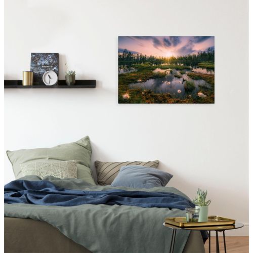 4055065031885 - Leinwandbild Keilrahmenbild - Gloomy Swamps - Größe 60 x 40 cm Baum Berge Blumen Blätter Foto Jahreszeiten Landschaft Meer Natur Palmen Strand (Packung 1 St) 60x40 cm (Breite x Höhe) Keilrahmenbild bunt