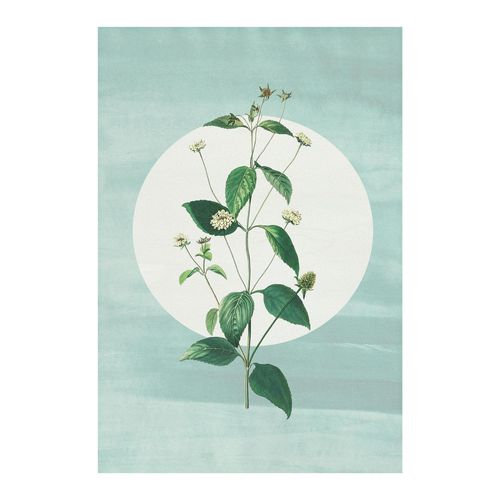 4055065178856 - Bild »Faire Pousser des Fraises« Natur (1 St) Wandbild zur Dekoration - ohne Rahmen
