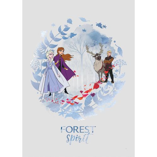 4055065161964 - Bild »Frozen Spirit« Disney (1 St) Wandbild zur Dekoration im Kinderzimmer - ohne Rahmen