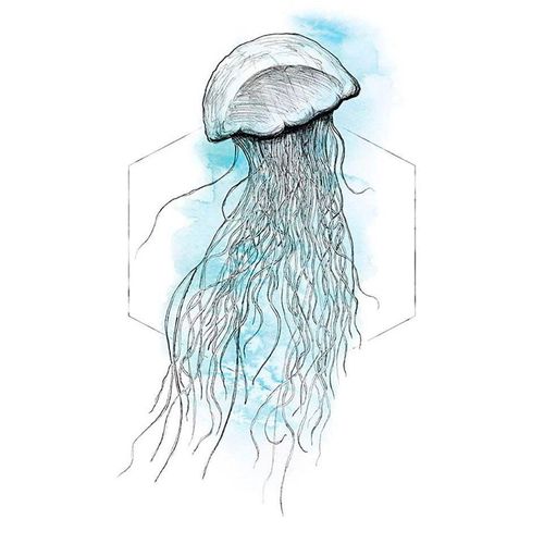 4055065152160 - KOMAR Poster Jellyfish Watercolor Bilder Kinderzimmer Schlafzimmer Wohnzimmer Gr B H 50 cm x 70 cm Tiere 1 St bunt Poster