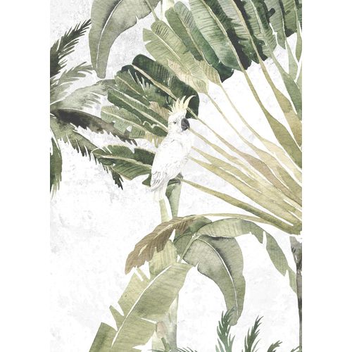 4055065179693 - Poster Oiseau Cacadoo (Packung 1 St) Kinderzimmer Schlafzimmer Wohnzimmer bunt