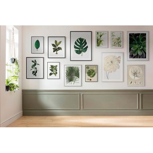 4055065151415 - KOMAR Poster Monstera Leaf Bilder Kinderzimmer Schlafzimmer Wohnzimmer Gr B H 50 cm x 70 cm Pflanzen-Blätter 1 St grün Poster 4055065151415 - KOMAR Poster Monstera Leaf Bilder Kinderzimmer Schlafzimmer Wohnzimmer Gr B H 50 cm x 70 cm Pflanzen-Blätter 1 St grün Poster