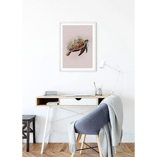 4055065152511 - KOMAR Poster Animals Paradise Turtle Bilder Kinderzimmer Schlafzimmer Wohnzimmer Gr B H 50 cm x 70 cm Tiere 1 St bunt Poster 4055065152511 - KOMAR Poster Animals Paradise Turtle Bilder Kinderzimmer Schlafzimmer Wohnzimmer Gr B H 50 cm x 70 cm Tiere 1 St bunt Poster