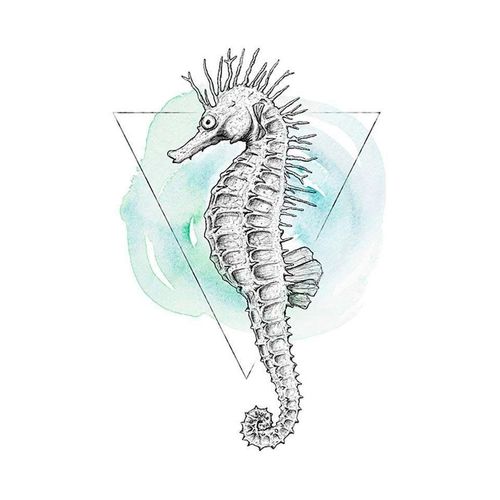 4055065152283 - KOMAR Poster Sea Horse Watercolor Bilder Kinderzimmer Schlafzimmer Wohnzimmer Gr B H 50 cm x 70 cm Tiere 1 St bunt Poster 4055065152283 - KOMAR Poster Sea Horse Watercolor Bilder Kinderzimmer Schlafzimmer Wohnzimmer Gr B H 50 cm x 70 cm Tiere 1 St bunt Poster