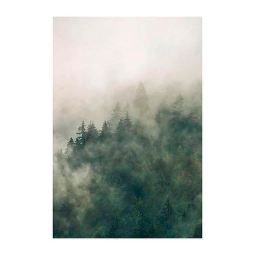 4055065156526 - KOMAR Poster Tales of the Carpathians Bilder Kinderzimmer Schlafzimmer Wohnzimmer Gr B H 50 cm x 70 cm Natur 1 St bunt Poster Bilder 4055065156526 - KOMAR Poster Tales of the Carpathians Bilder Kinderzimmer Schlafzimmer Wohnzimmer Gr B H 50 cm x 70 cm Natur 1 St bunt Poster Bilder