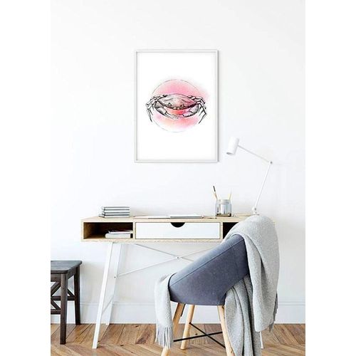 4055065152405 - KOMAR Poster Crab Watercolor Bilder Kinderzimmer Schlafzimmer Wohnzimmer Gr B H 50 cm x 70 cm Tiere 1 St bunt Poster