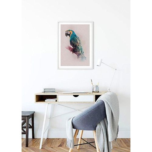 4055065152542 - KOMAR Poster Animals Paradise Parrot Bilder Kinderzimmer Schlafzimmer Wohnzimmer Gr B H 50 cm x 70 cm Tiere 1 St bunt Poster Bilder